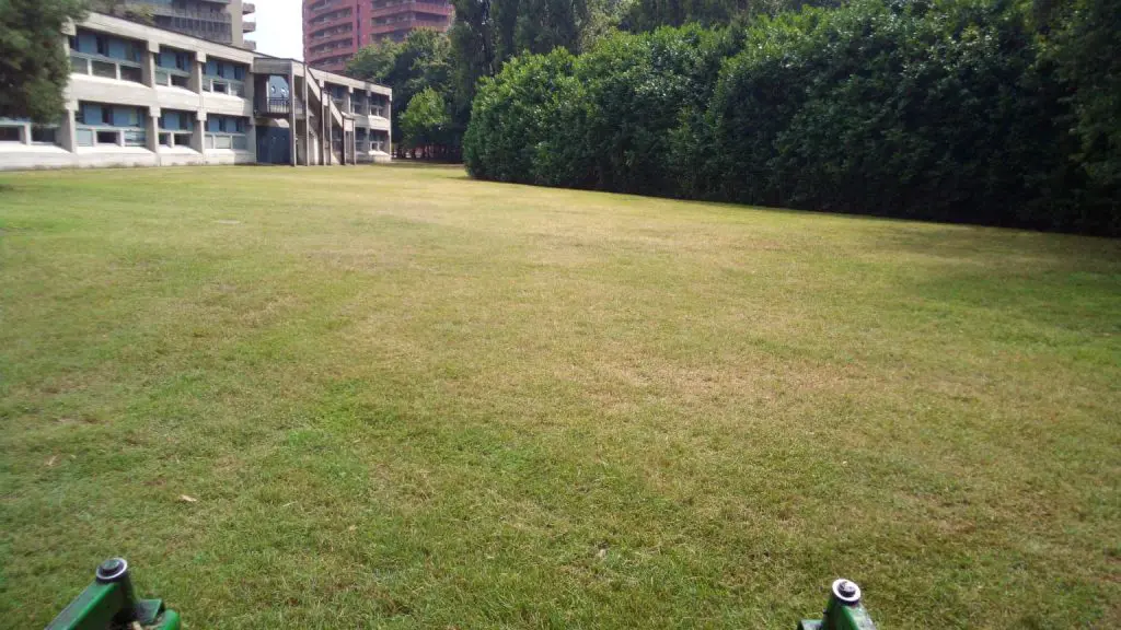 Manutenzione Giardini scuole
